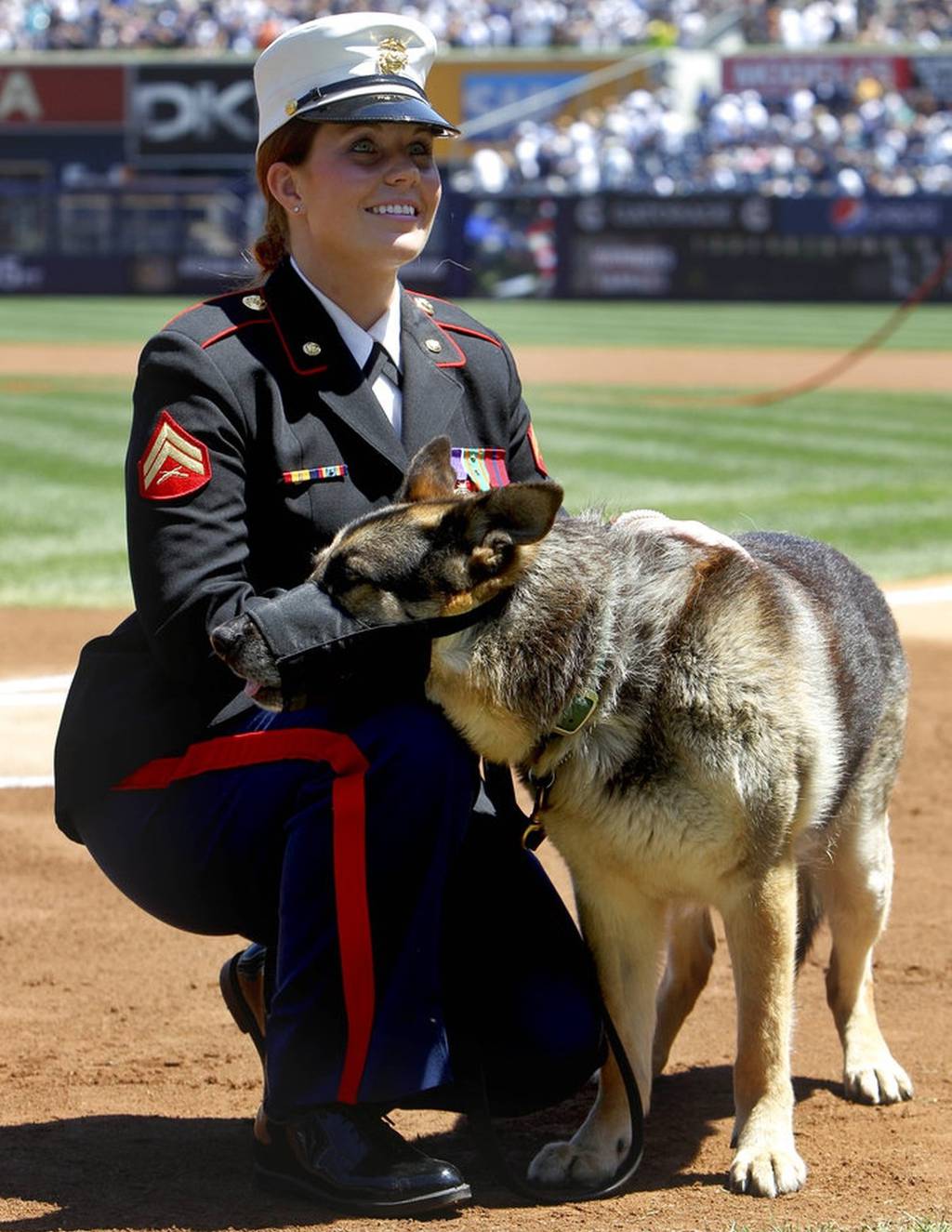Megan Leavey: Marine Bonds With Combat Dog in Dramatic Documentary