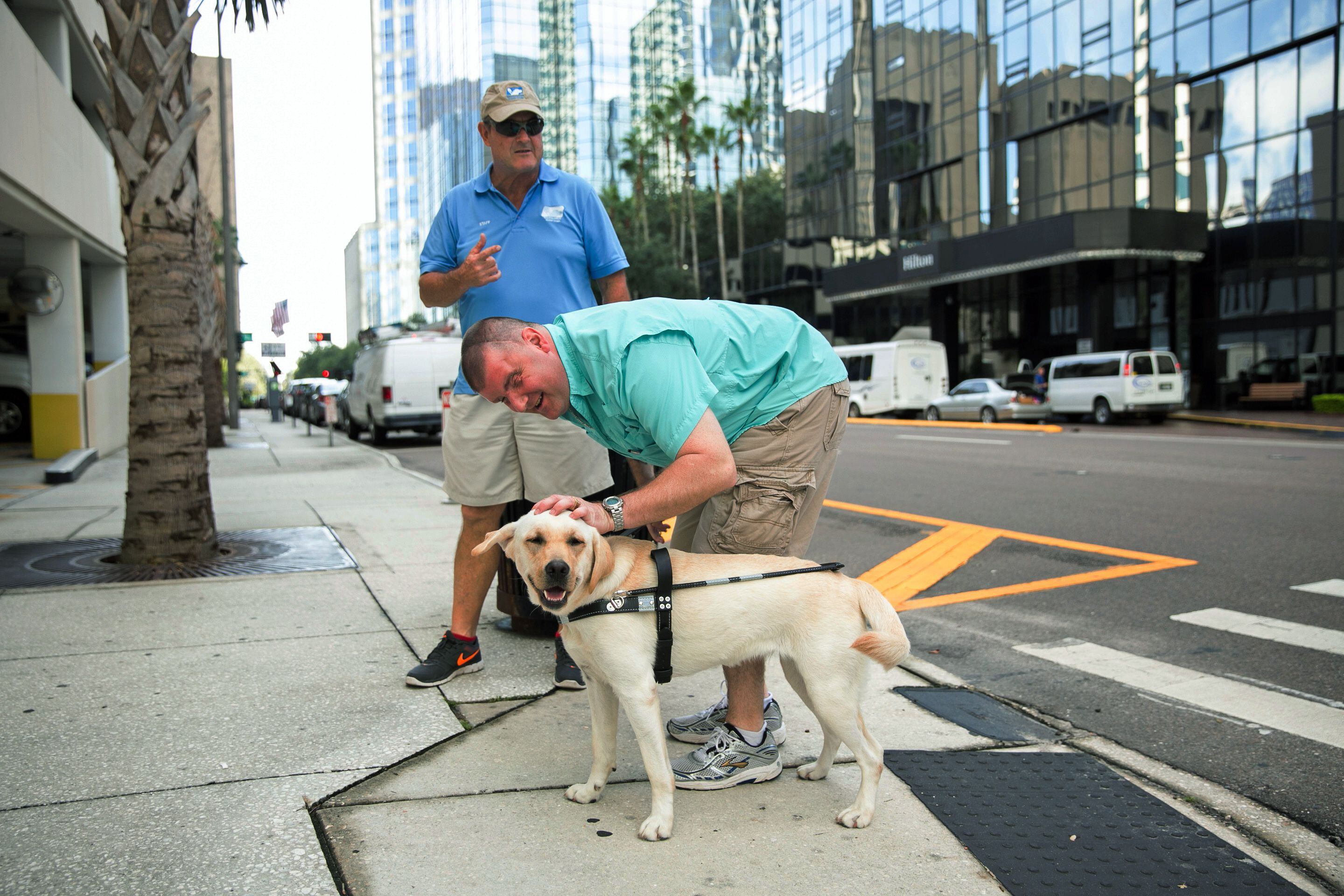 do dogs know how do you cross the street