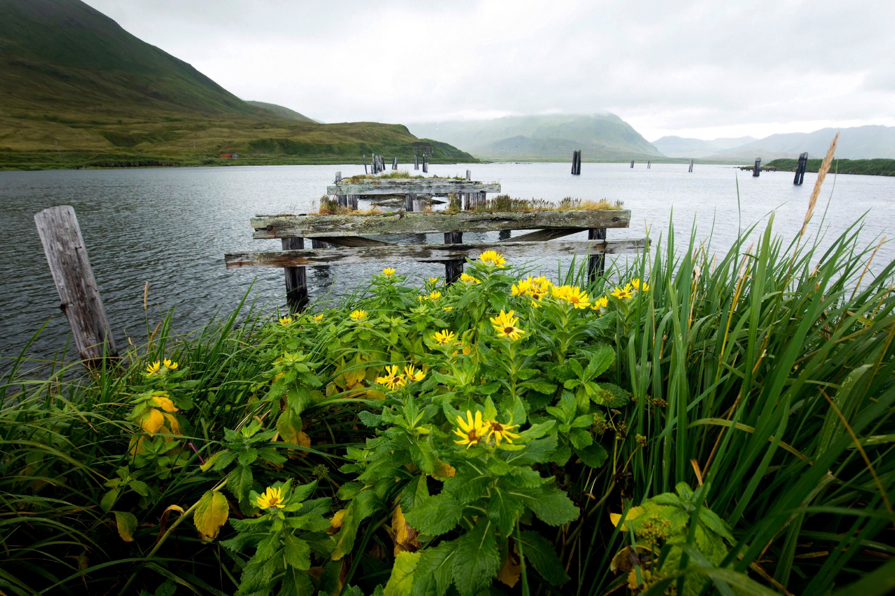 In this photo provided by the U.S. Fish and Wildlife Service, a remnant of World War II remains on Attu Island, Alaska, on Aug. 22, 2017.